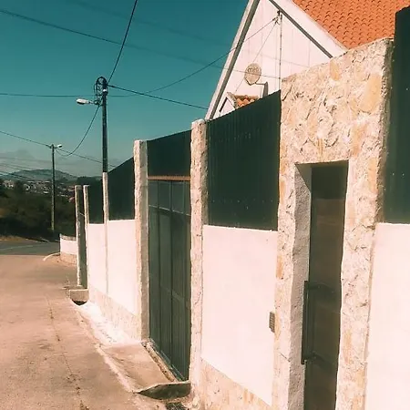 Ginjals_67